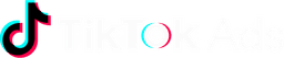 TikTok Ads MCP Server